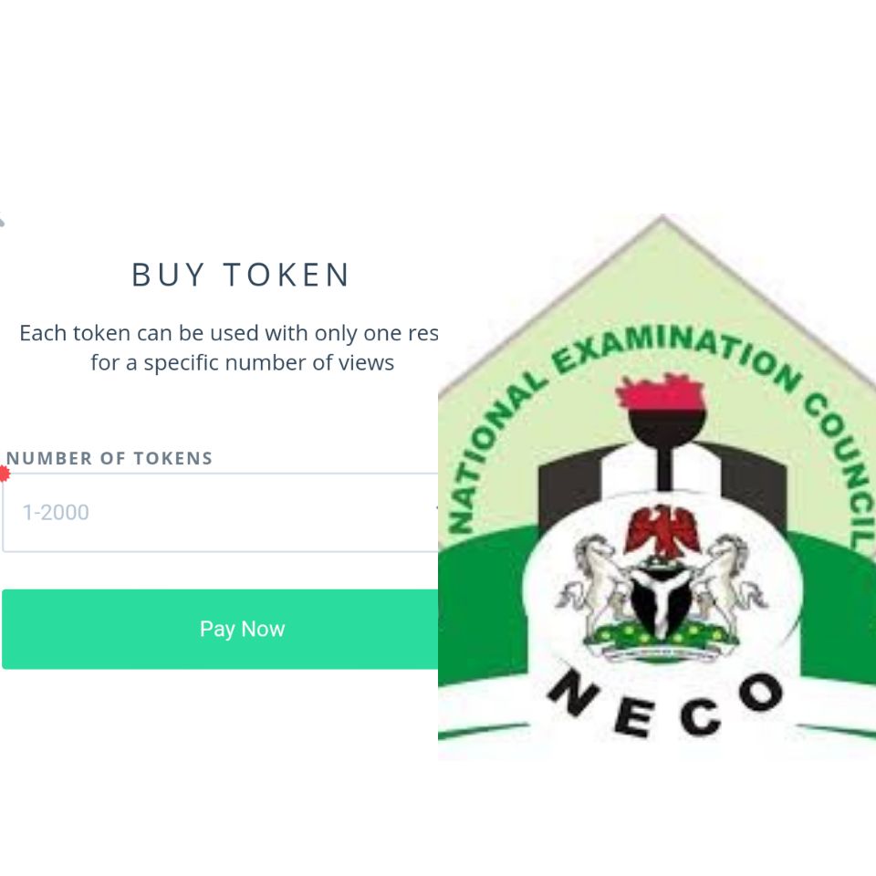 How To Buy Your Token For 2020 Neco Result Checking