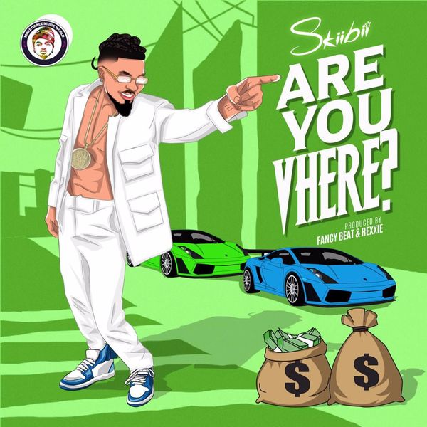 Skiibii – Are You Vhere? Mp3