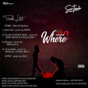 Sean Tizzle – Where You Been EP Track List