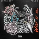 Burna Boy – Want It All ft Polo G