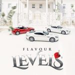 Flavour Levels Lyrics.