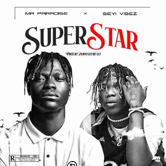 Mr Paradise – Superstar Ft. Seyi Vibez