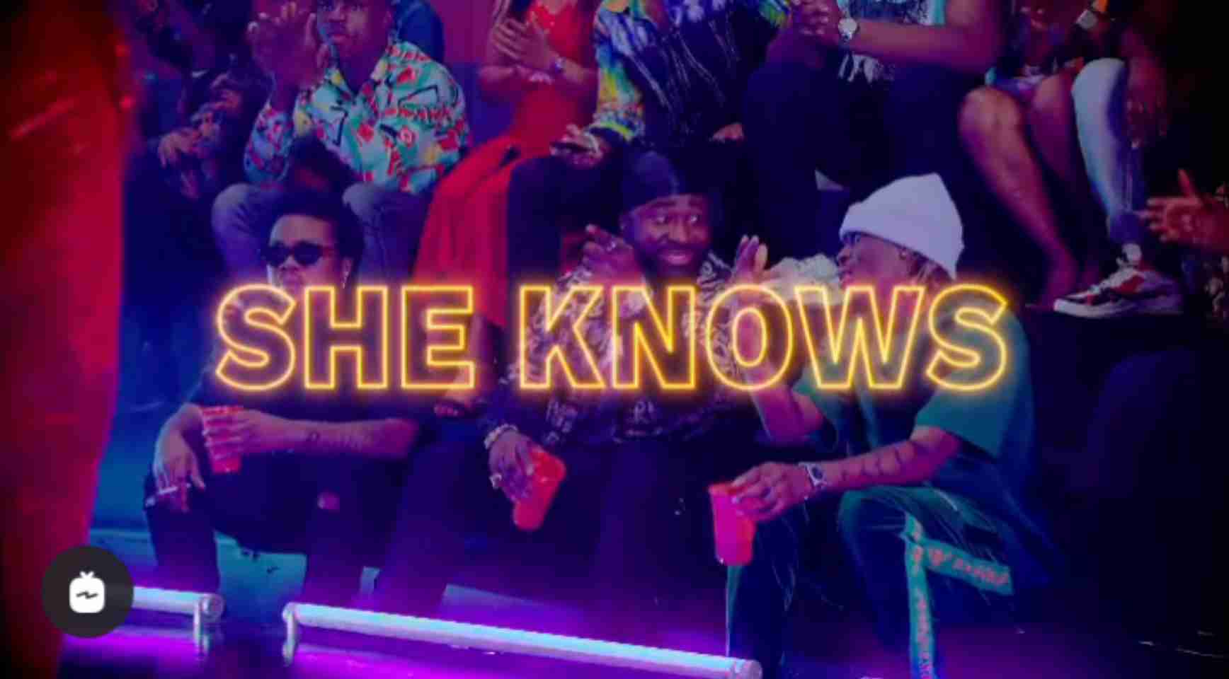 VIDEO: Harrysong – She Knows ft. Olamide, Fireboy DML