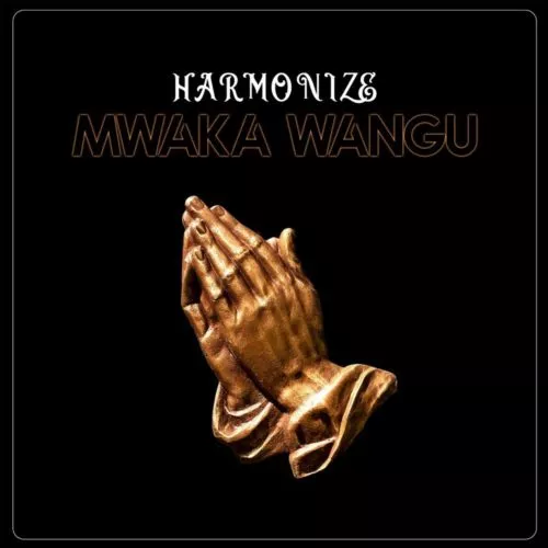 Harmonize – Mwaka Wangu