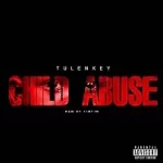 Tulenkey ft Medikal – Child Abuse