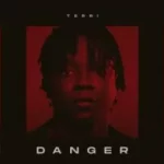 Terri – Danger Lyrics