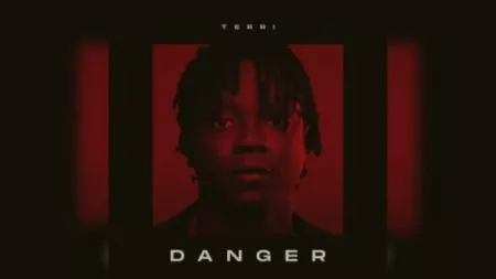 Terri – Danger