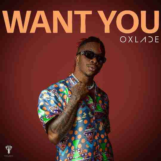 Oxlade – Want You Lyrics