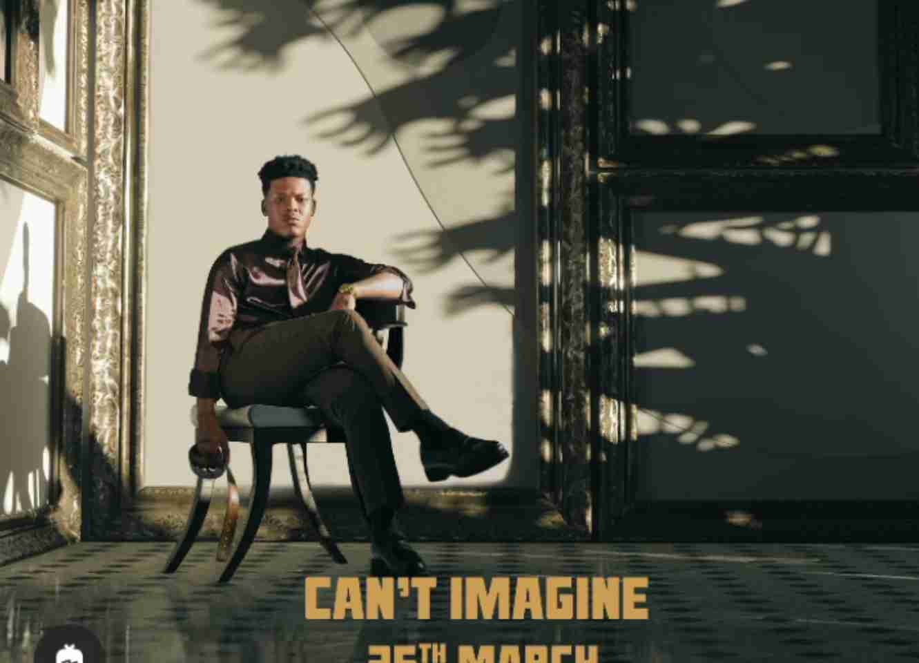 Nasty C – I Can't Imagine