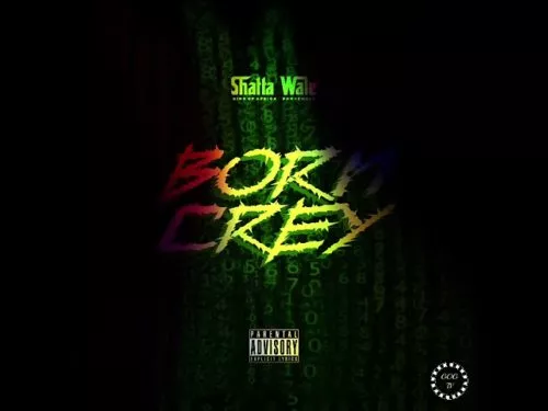 Shatta Wale – Born Crey Lyrics