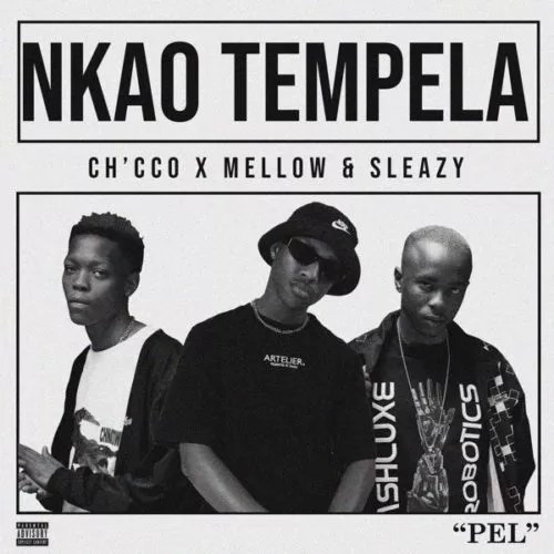 Nkao Tempela Lyrics by Ch'cco ft. Mellow and Sleazy.