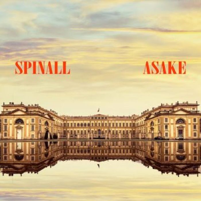 DJ Spinall ft. Asake – Palazzo