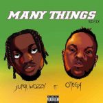 SuperWozzy ft. Otega – Many Things (Remix)