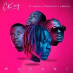  Watawi Lyrics by Ckay ft. Davido, Focalistic & Abidoza .