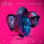 CKay ft Davido, Focalistic & Abidoza – Watawi