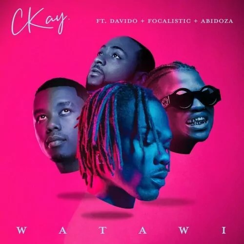  Watawi Lyrics by Ckay ft. Davido, Focalistic & Abidoza .