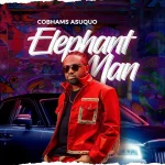 Elephant Man Lyrics by Cobhams Asuquo