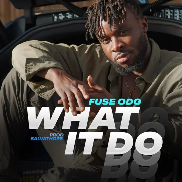 [Lyrics] Fuse ODG – What It Do