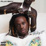 Fireboy DML – Timoti