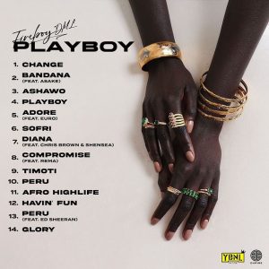 Fireboy DML Playboy album track list