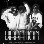 Jerry Shaffer ft. Bella Shmurda & Bad Boy Timz – Vibration