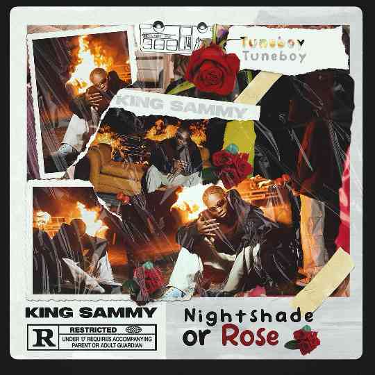 King Sammy – Last Night