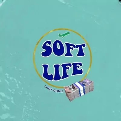 Soft Life Lyrics by Lady Donli