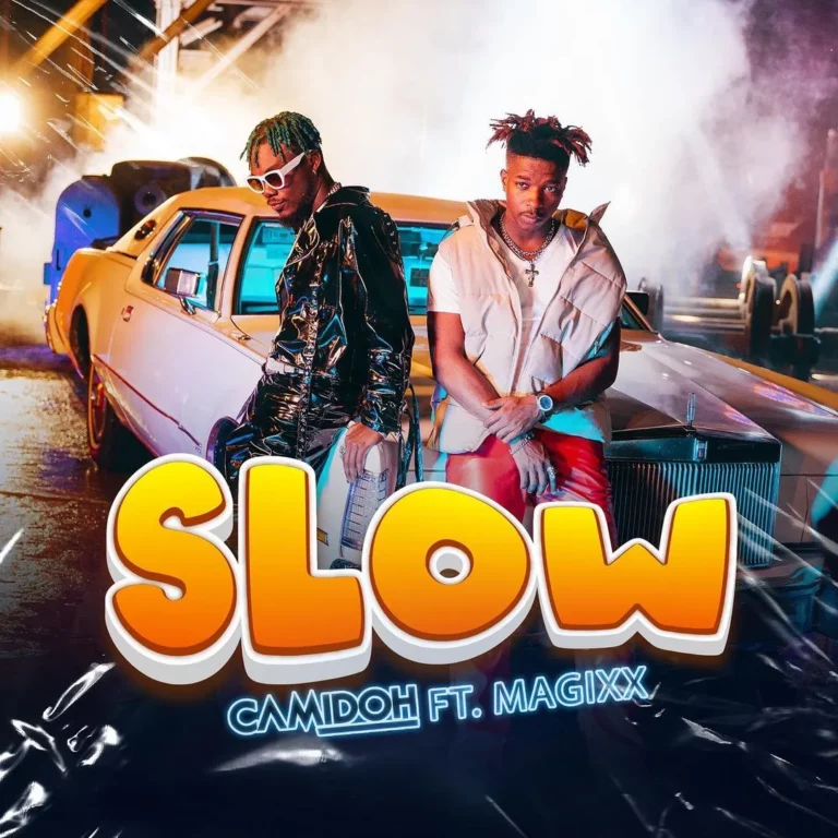 Slow Lyrics by Camidoh feat. Magixx.