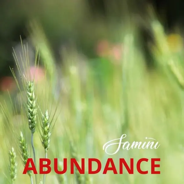 Samini – Abundance