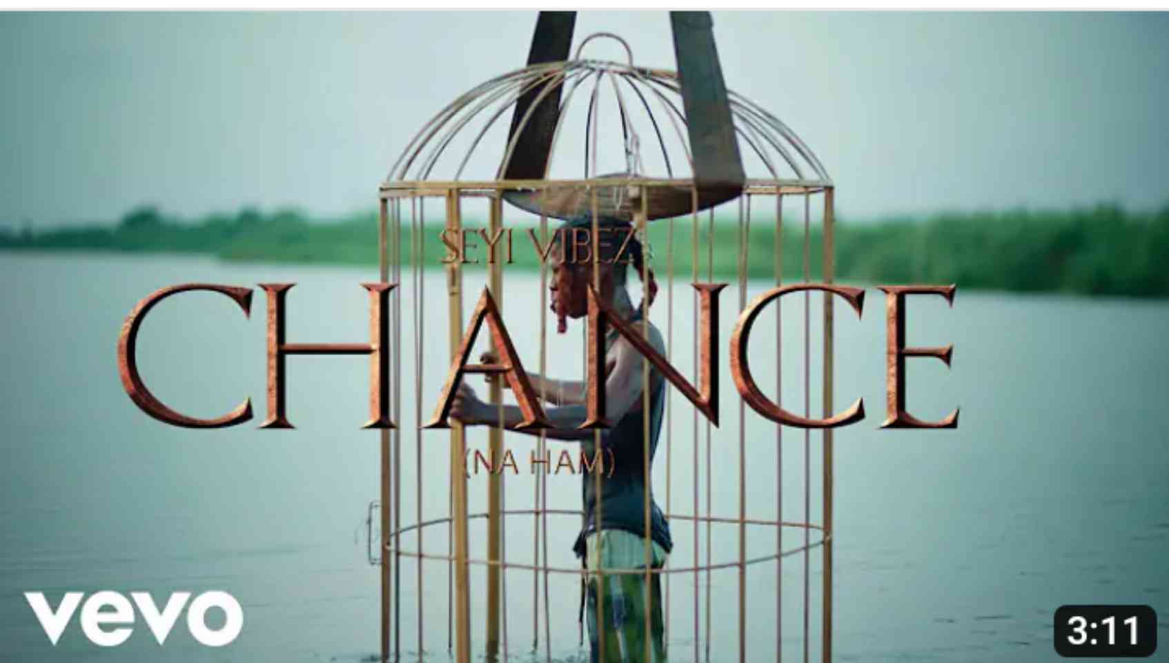 Chance (Na Ham) [Video] by Seyi Vibez