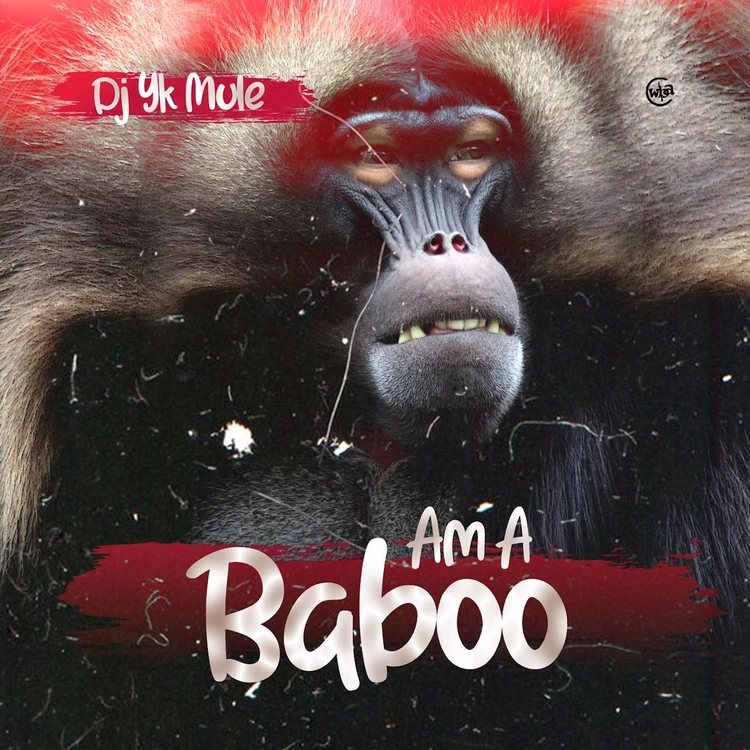 Dj Yk Mule – Am A Baboo