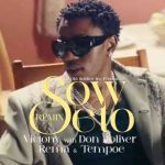 Victony ft. Don Toliver, Rema & Tempoe – Soweto (Remix) [Video]