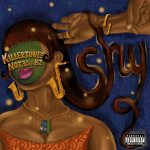 Killertunes – Shy ft. BZ, Not3s