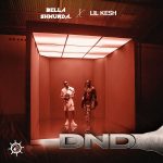 Bella Shmurda – DND ft. Lil Kesh