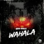 [Lyrics] Naira Marley – Wahala