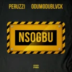 [Lyrics] Peruzzi – Nsogbu ft. ODUMODUBLVCK