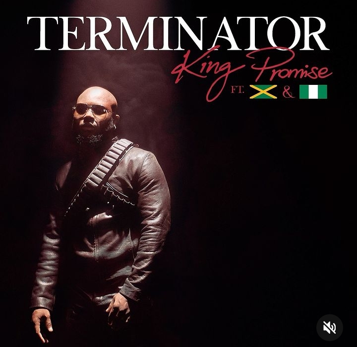 [Lyrics] King Promise – Terminator (Remix) ft. Sean Paul & Tiwa Savage