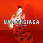 Seyi Vibez – NAHAMCIAGA Ep (Album