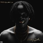 Fireboy DML – Need Me