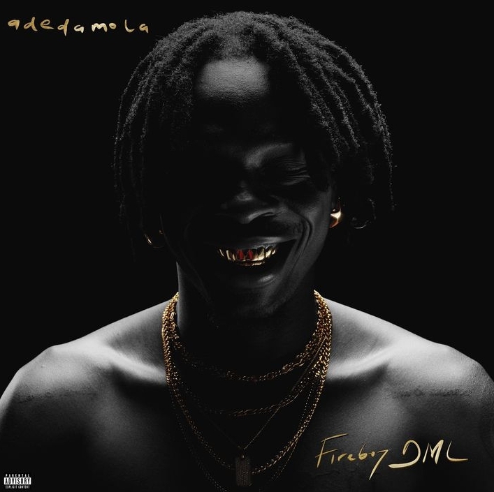 Fireboy DML – Need Me