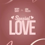 Wendy Shay – Special Love ft. King Paluta